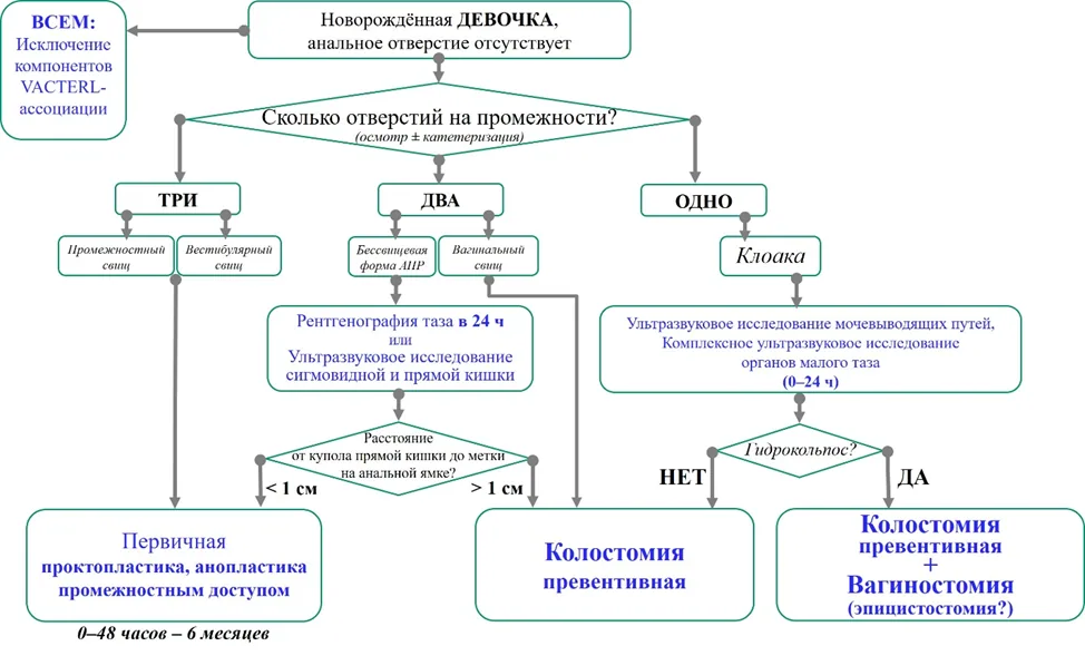 Приложение Б. Алгоритмы действий врача — Аноректальные пороки развития