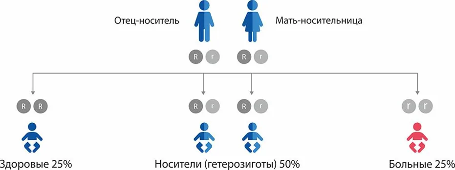 Приложение В. Информация для пациента — Другие нарушения накопления липидов (Дефицит лизосомой кислой липазы)