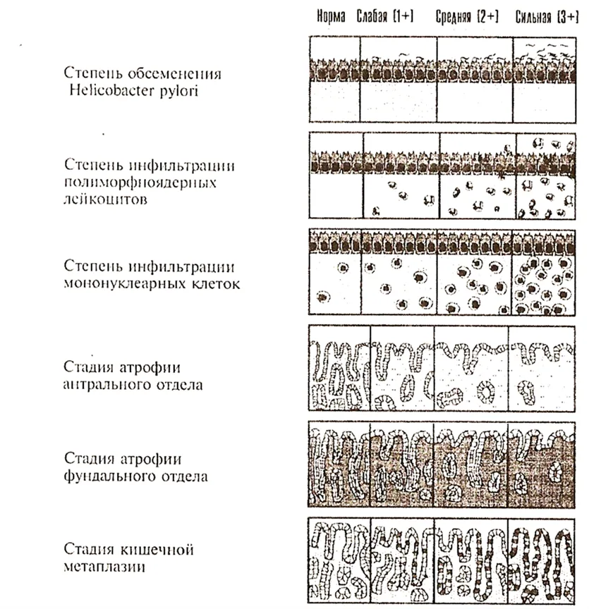 Приложение Г1 - Г... Шкалы оценки, вопросники — Гастрит и дуоденит у детей